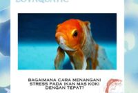 Bagaimanakah Cara Mengatasi Stress pada Ikan Mas Koki yang Benar?