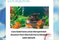 Cara Sederhana untuk Memperindah Akuarium Ikan Mas Koki Kamu Menjadi Lebih Menarik