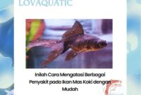 Ketahuilah Jenis Penyakit pada Ikan Mas Koki dan Cara Perawatanya