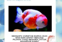 Mengapa Varietas Warna Ikan Mas Koki Dapat Menjadi Pilihan yang Menarik untuk Akuarium Kamu?