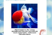 Pentingnya pH yang Seimbang dalam Akuarium Ikan Mas Koki: Tips dan Penjelasan