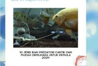 10 Jenis Ikan Predator Cantik dan Mudah Dipelihara untuk Pemula 2024
