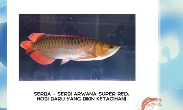 Fakta Tentang Ikan Arwana Super Red yang Mungkin Belum Kamu Ketahui
